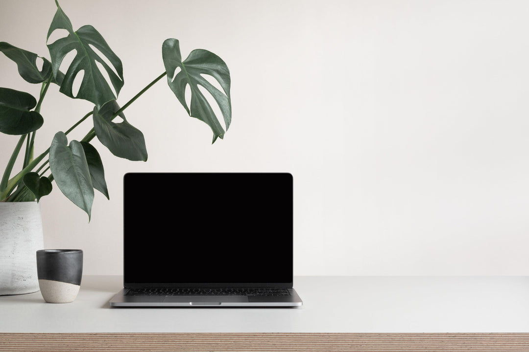 5 Must Have Legal Tools for 2023 - TheLawTog®
