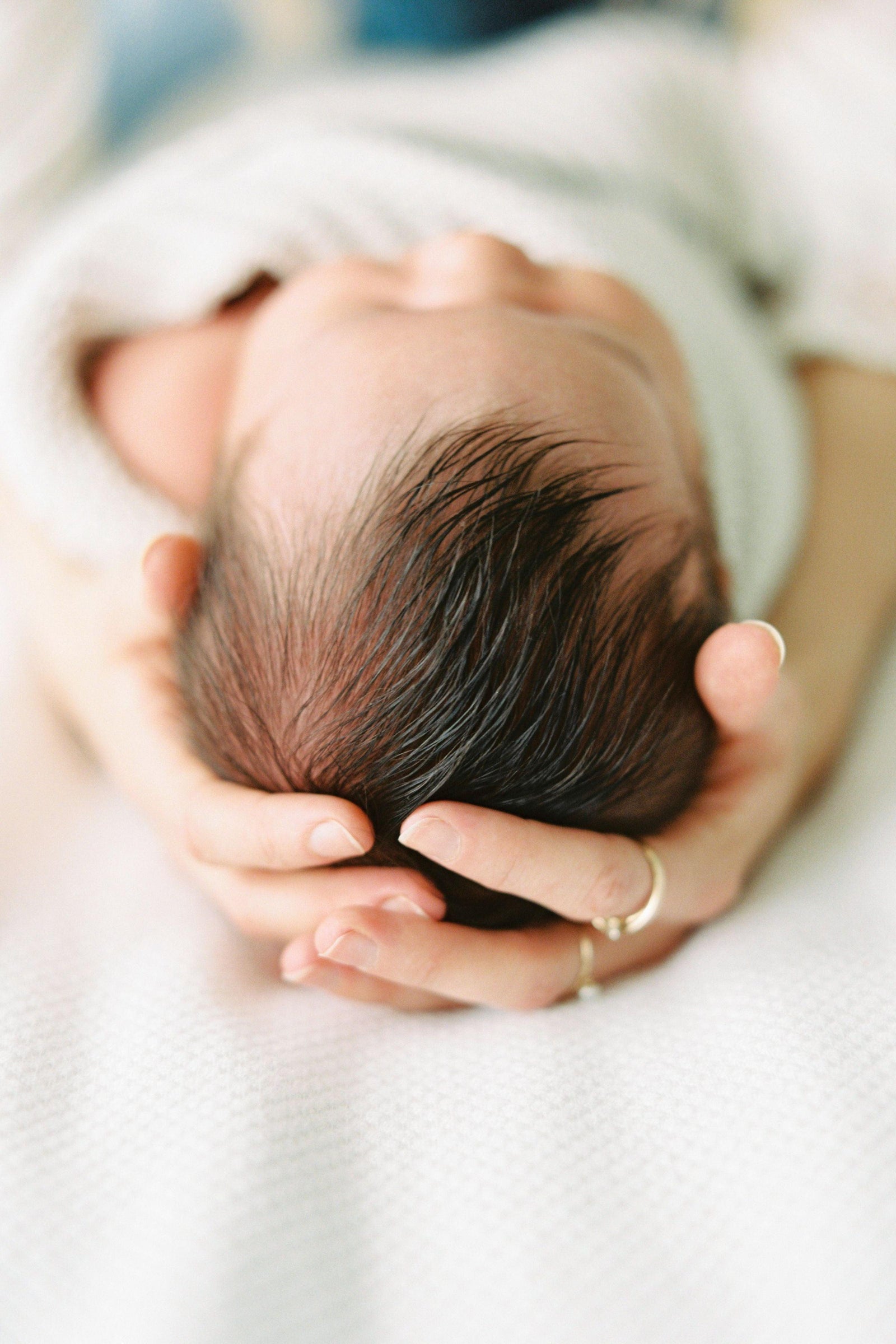 Birth Photography Contract - TheLawTog®