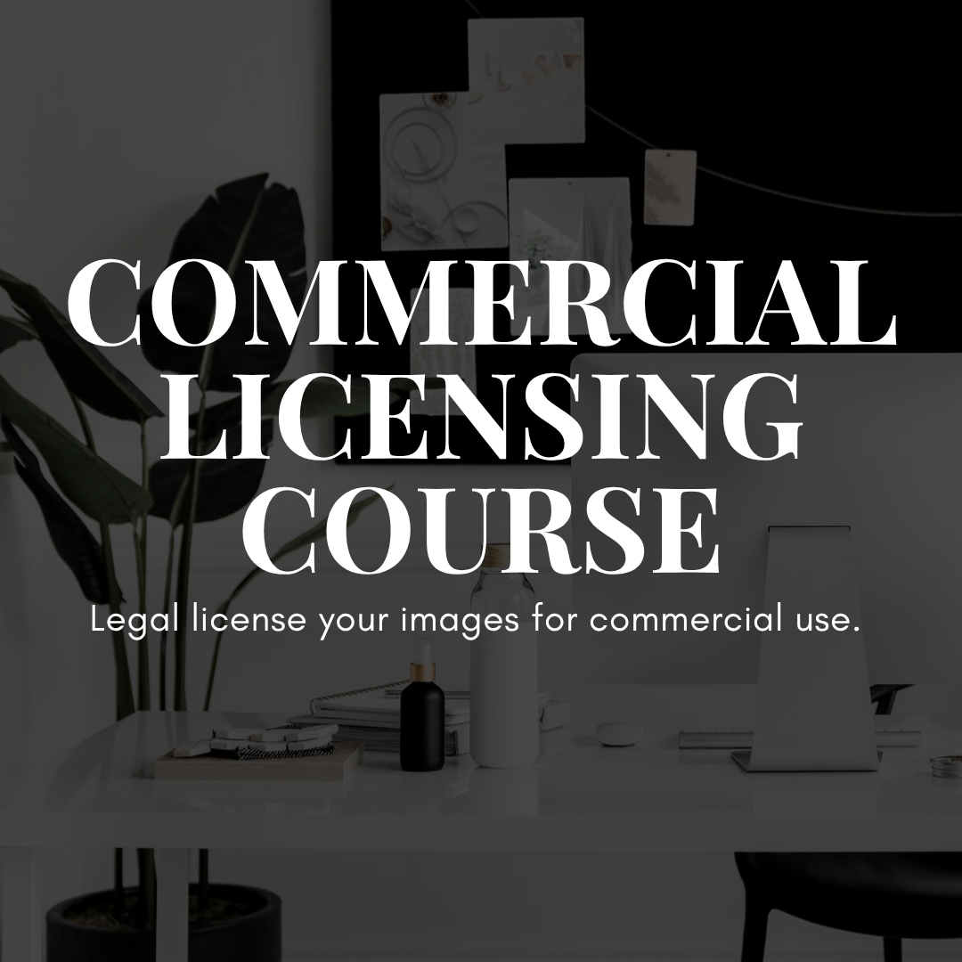 Commercial Licensing Course